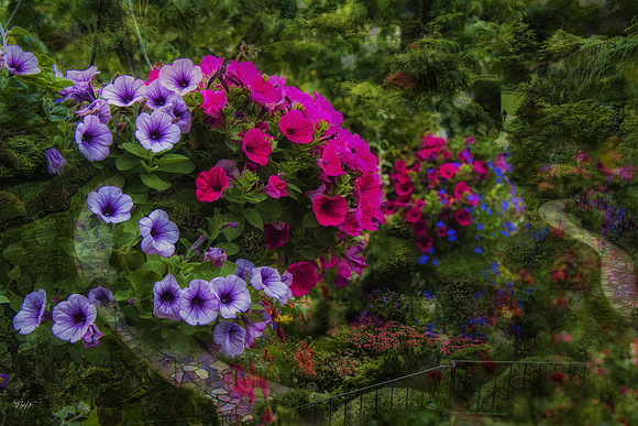 Butchart Gardens flowers #1