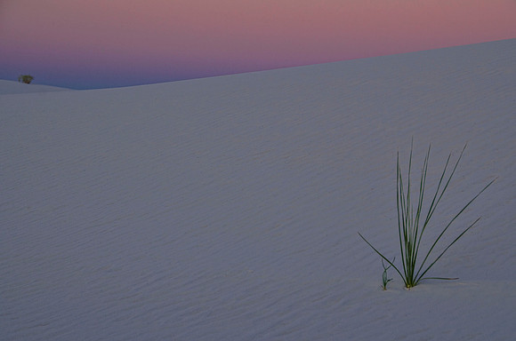 Earthrise and dunescape