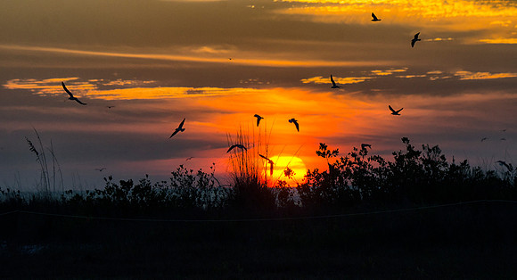Sunset at Fort DeSoto State Park