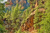 Pines and red rocks, W fork of Oak Creek
