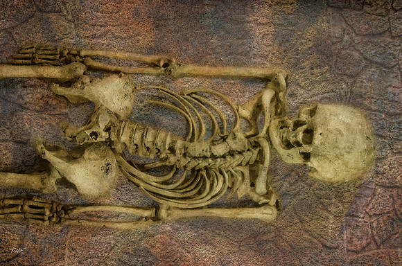 Monte Alban skeleton
