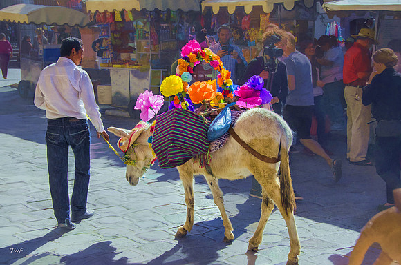 Wedding procession #1
