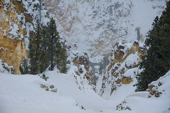 Grand Canyon of the Yellowstone