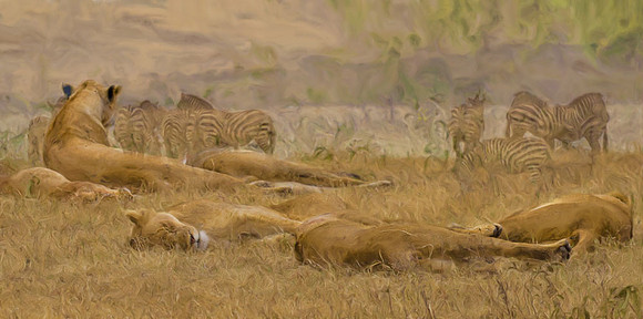 Predators and prey #1