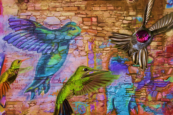 Hummingbird mural