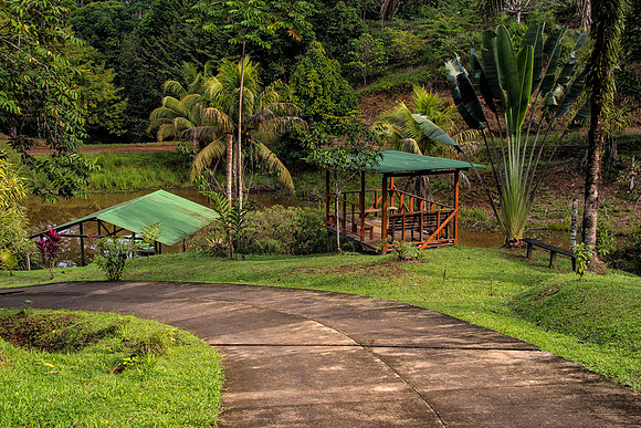 View of Laguna del Lagarto