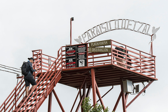 Paraiso Quetzal overlook tower