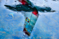 Float plane reflection