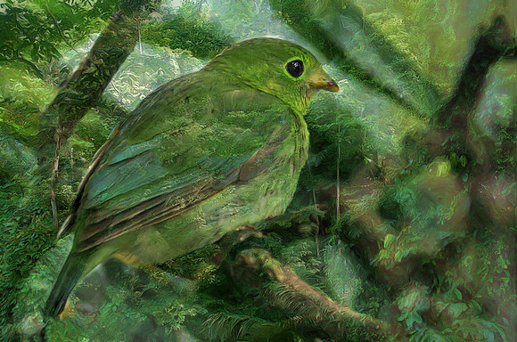 Greenbill
