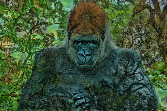 Lowland gorilla