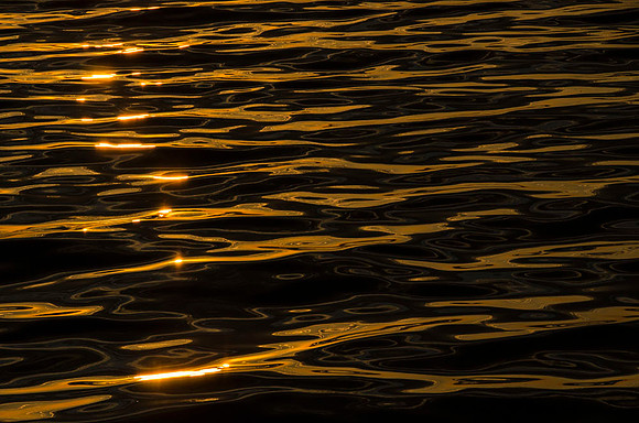 Reflections at sunset
