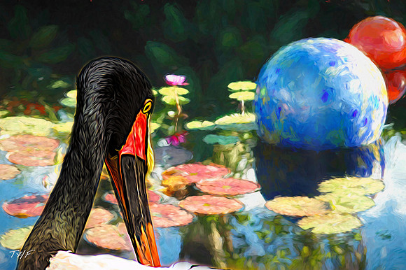 Black-necked stork