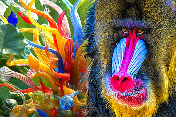 Mandrill