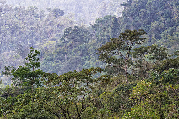 Mountain landscape #1