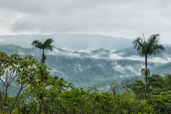 Mountain landscape #2