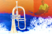 Musicians