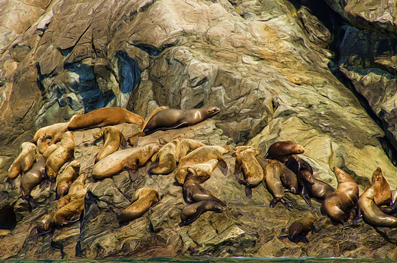 Steller's sea lion tableau
