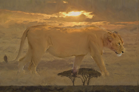 Serengeti sunset
