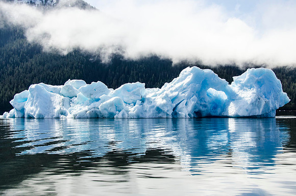 Blue iceberg, LeConte Bay