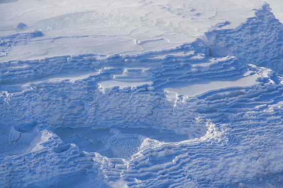 Mammoth Hot Springs thermal terraces #5