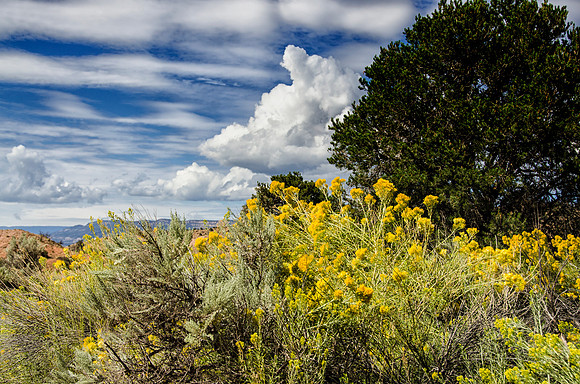 Ghost Ranch landscape #2