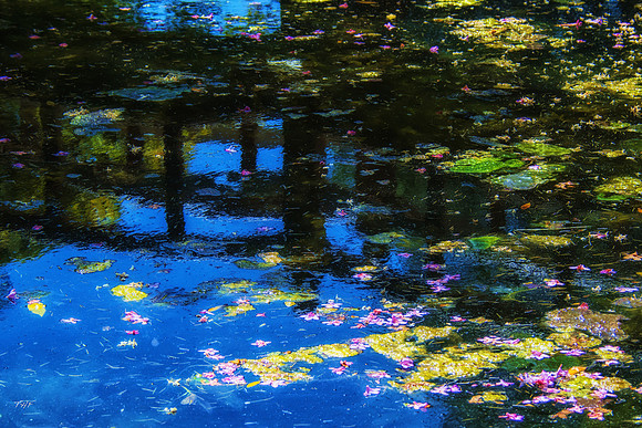 Fort Royal gardens, Vancouver I