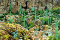 Western Landscapes