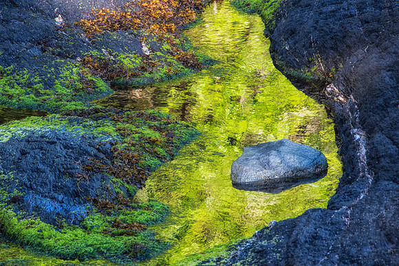 Low tide at Port Renfrew, Vancouver Island