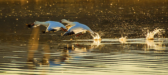 Tandem take-off