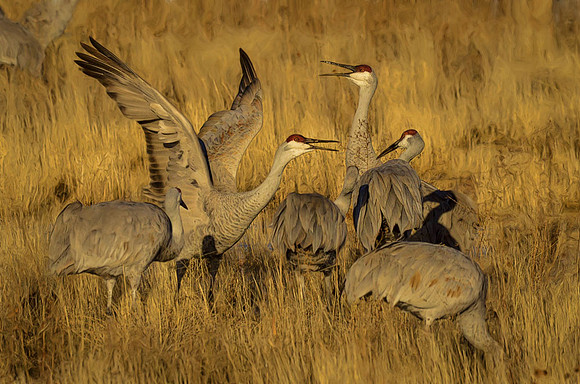 Vocalizing before takeoff