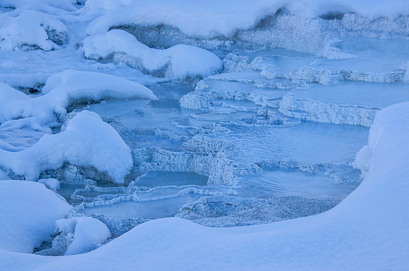 Mammoth Hot Springs thermal terraces #3