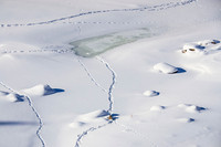 Tale of the tracks