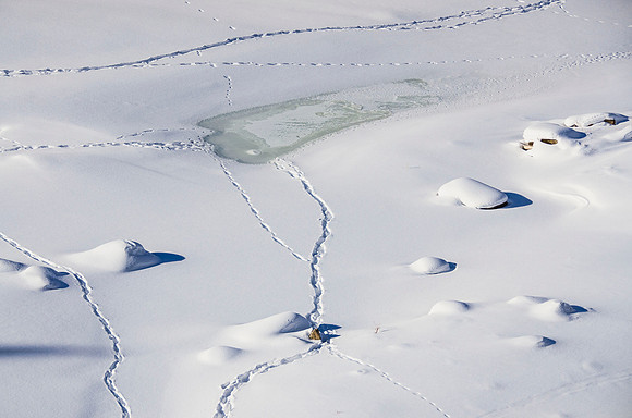 Tale of the tracks