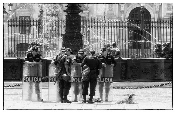 Policia and perros