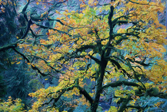 Fall foliage, Multnoma Falls