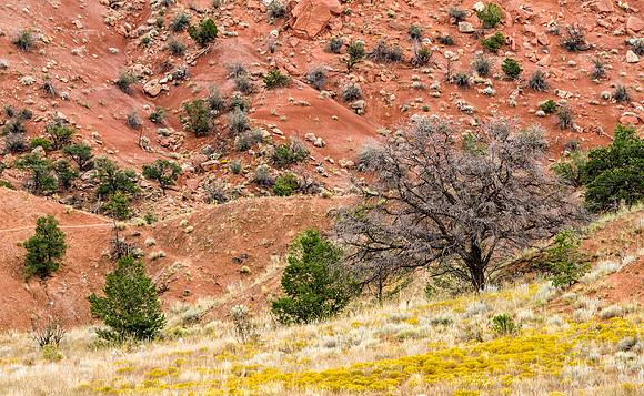 Ghost Ranch landscape #3