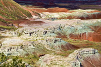 Overview of the Painted Desert