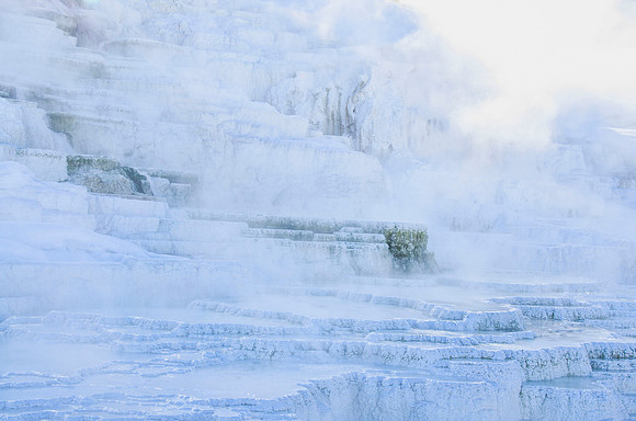 Mammoth Hot Springs thermal terraces #1
