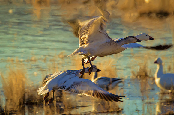 Another take-off