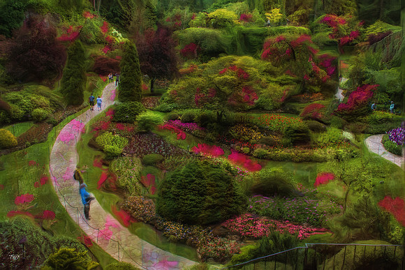 Butchart Gardens ovreview