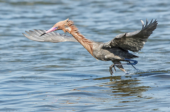 In hot pursuit
