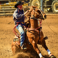 Cowboys and Rodeo