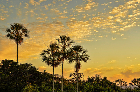 Pantanal sunset #1