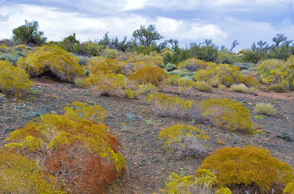 Fall 'foliage' Painted Desert AZ