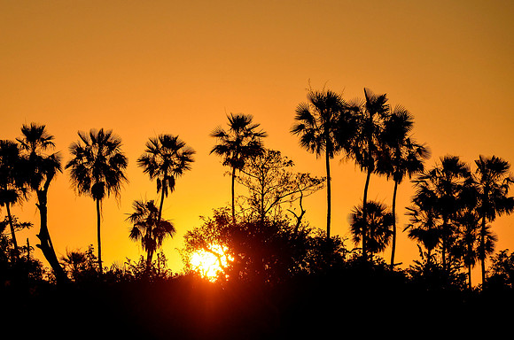 Pantanal sunset #2