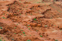 Detail of the desert floor near the Monument Valley Lodge