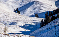Landscape near Yellowstone River