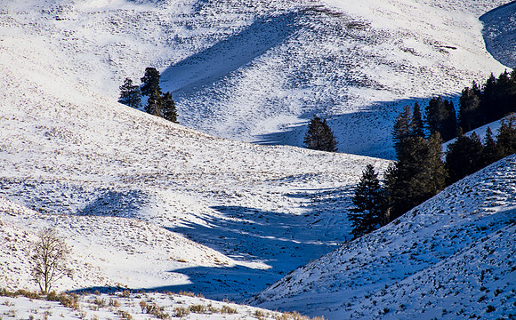 Landscape near Yellowstone River