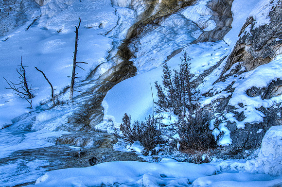 Mammoth Hot Springs landscape