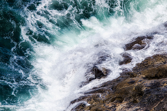 Between the sea and land